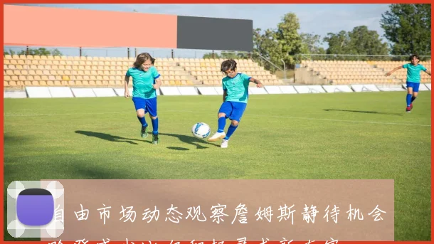 自由市场动态观察詹姆斯静待机会哈登威少比尔积极寻求新东家