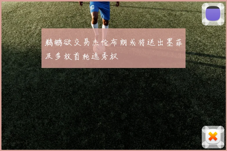 鹈鹕欲交易杰伦布朗或将送出墨菲及多枚首轮选秀权